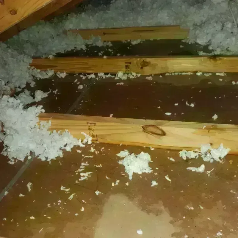 Attic Water Damage in Price, UT