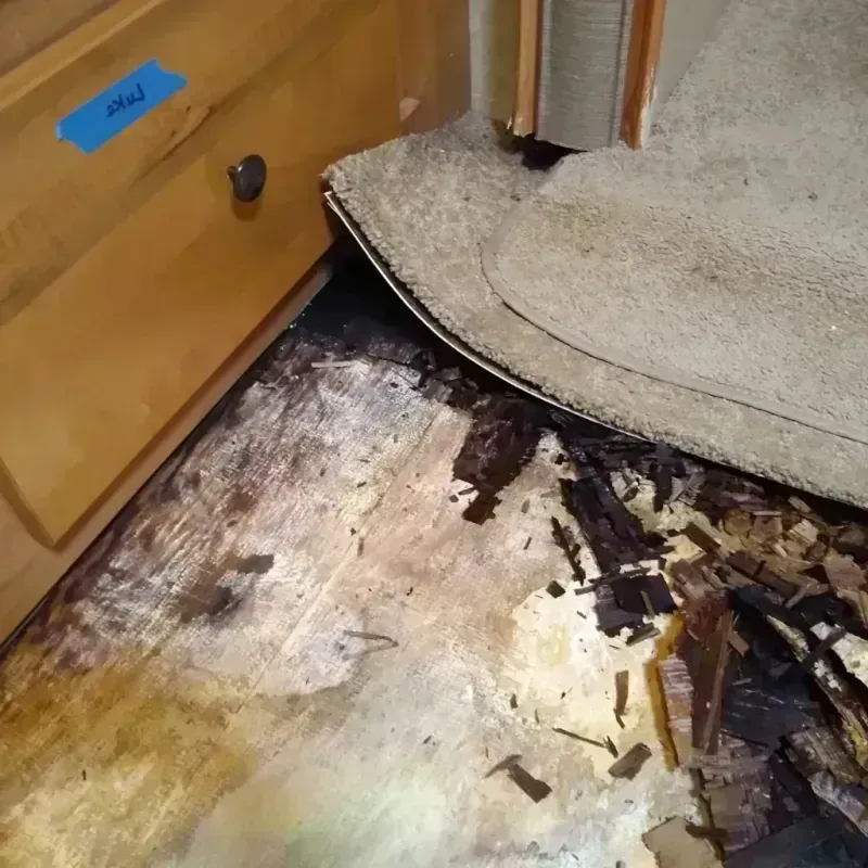 Wood Floor Water Damage in Price, UT